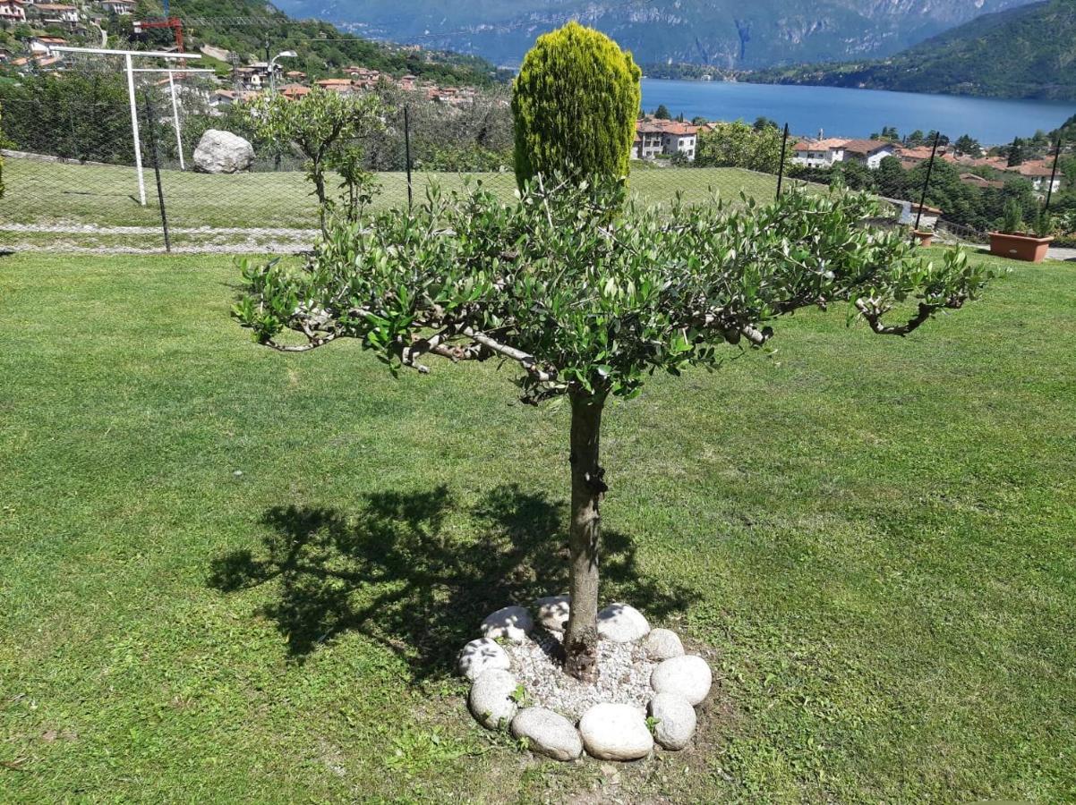 B&B Garzola Ossuccio Exteriör bild
